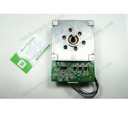 Động Cơ BLDC Brushless Chế Quạt, Máy Mài DC 24V   (T39)