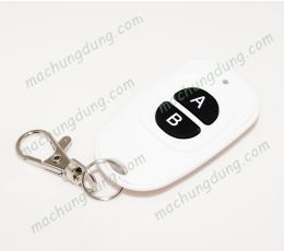 Remote 2 Button 315Mhz (24)