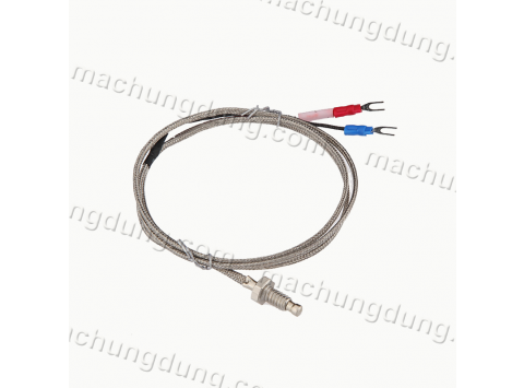 Cảm biến nhiệt độ loại K WRX-31 (T211)