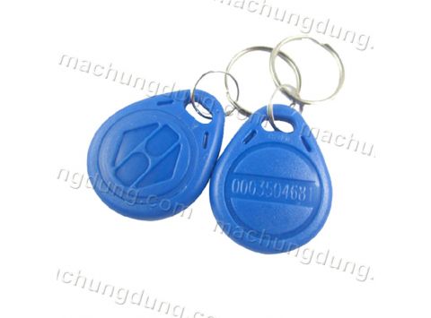 Tab Móc khóa RFID 125KHz (H07)