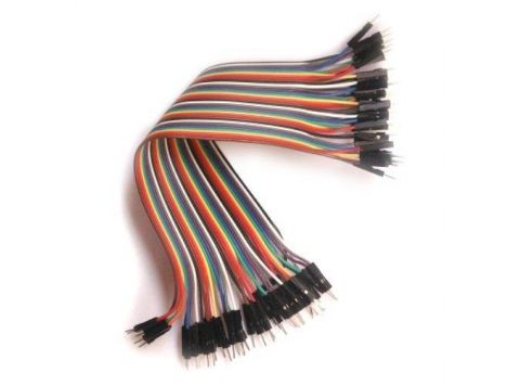 Bus 40 sợi đơn 20cm (Đực-Đực)