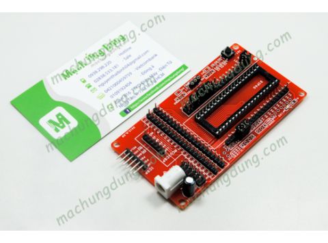 PIC Mini Development Board (T213)