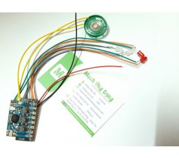 Module âm thanh đồ chơi trẻ em