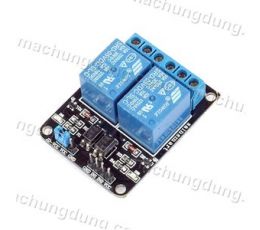 Module 2 Relay 10A 5VDC Low (H04)