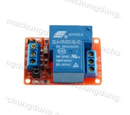 Module 1 Relay 30A 24VDC H/L (H04)