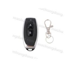 Remote RF 2B 315MHz Inox (H24)